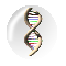 DNS Genetik